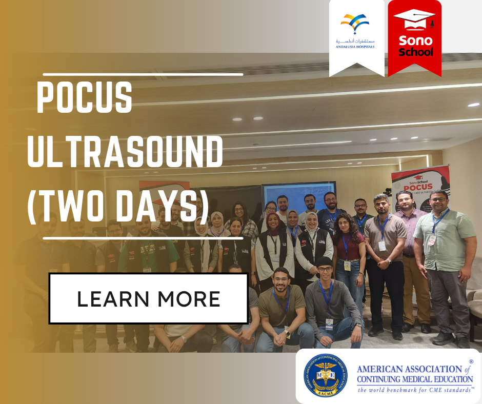 Basic POCUS Andalusia Alexandria workshop gallery