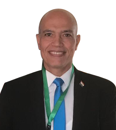 Prof. Nezar Refaat Tawfike, Sono School Faculty
