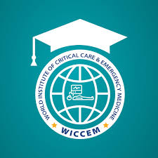 WICCEM logo